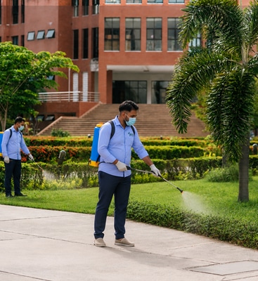 Pest Control Services in Ahmedabad