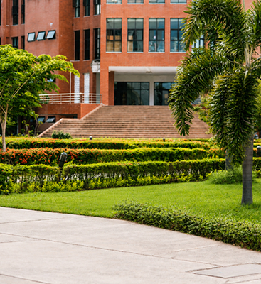 Education Sector