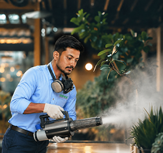 Pest Control Service Gandhinagar