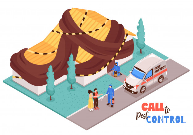 Effective Pest Control Tips
