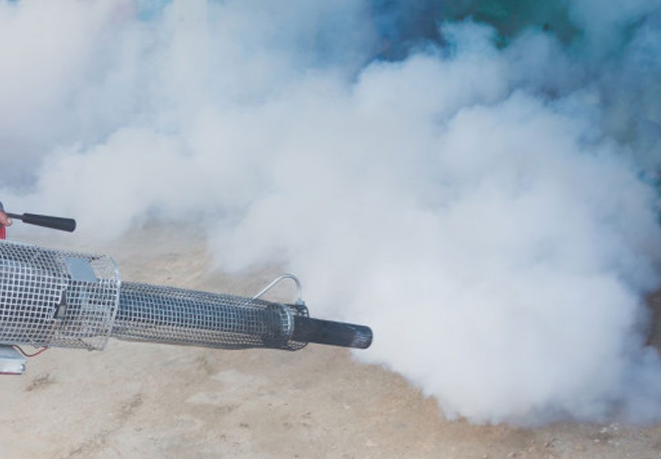 Effective Ways of Pest Control