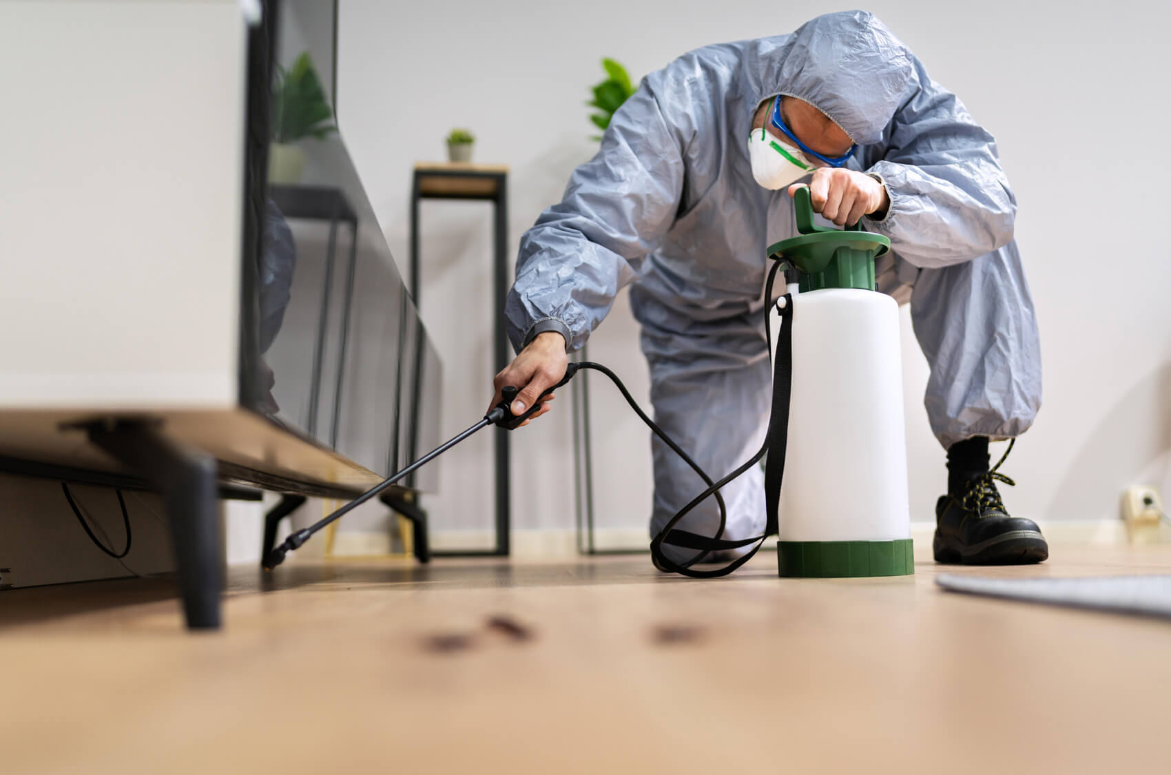 Insects Control Service in Ahmedabad